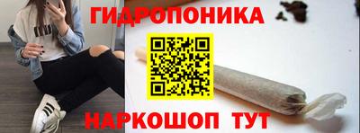 jwh Тара