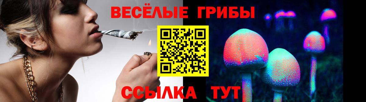 Псилоцибиновые грибы мицелий  Вход с VPN  Псилоцибиновые грибы Psilocybe  Нижний Тагил 